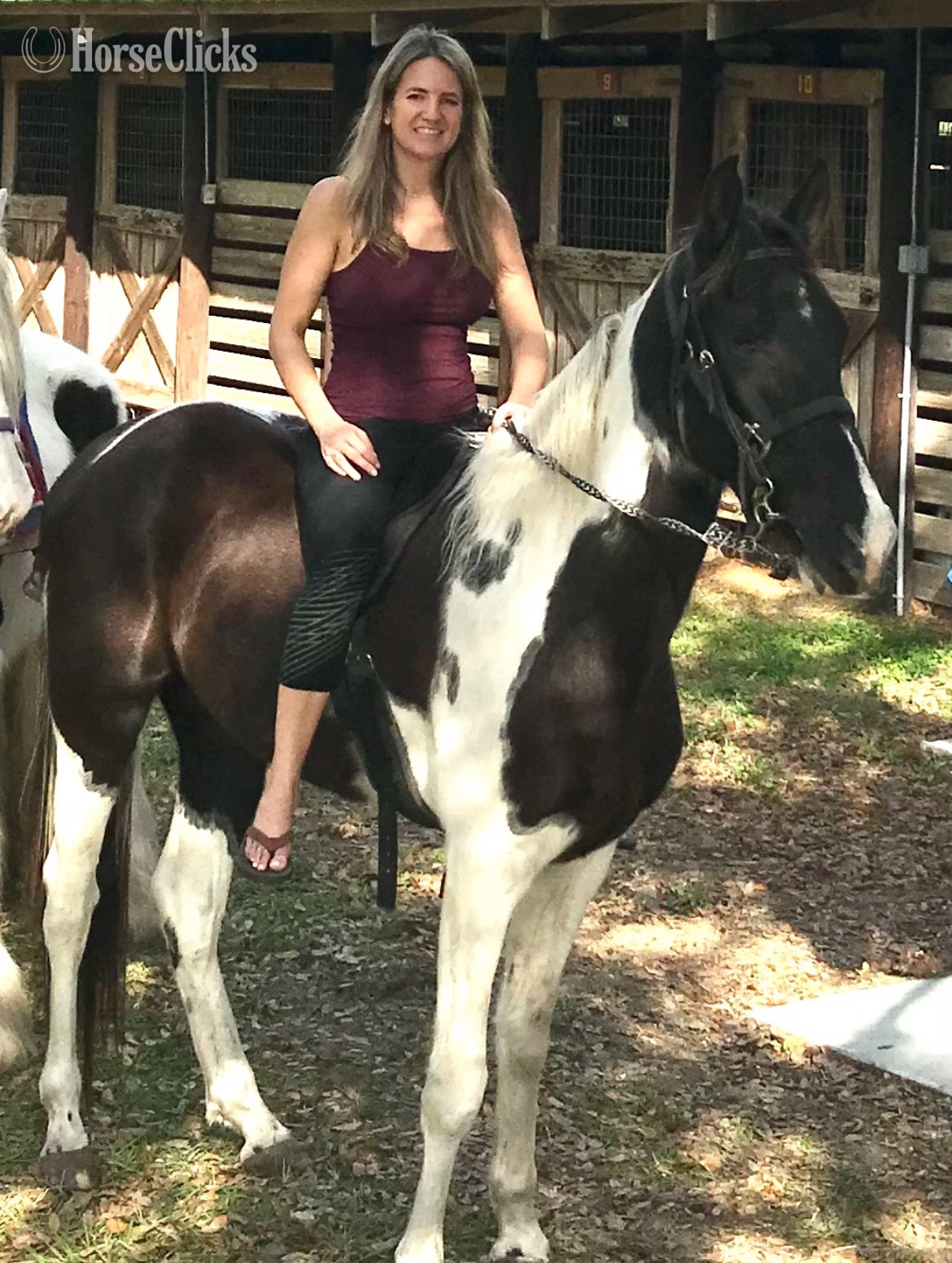 "Jr’s Kodak Image (Bo)" Tabiano Gelding Spotted Saddle in Florida