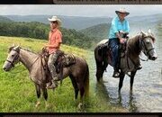 "Dawn" Grey Mare Missouri Fox Trotter