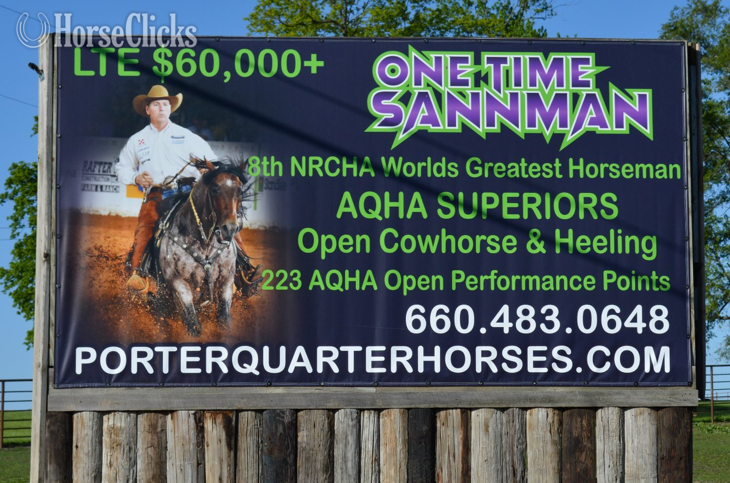 Quarter Horse - "Champ - Solanos Blakburn/Cougarand/Shi B" Grullo Colt Quarter Horse