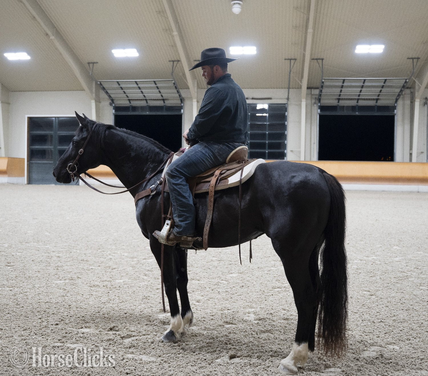 "Jessie" Black Mare Quarter Horse - Quarter Horse