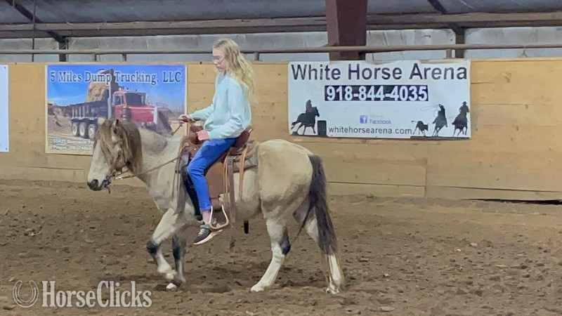 "PeeWee" Tri-Color Gelding Pony