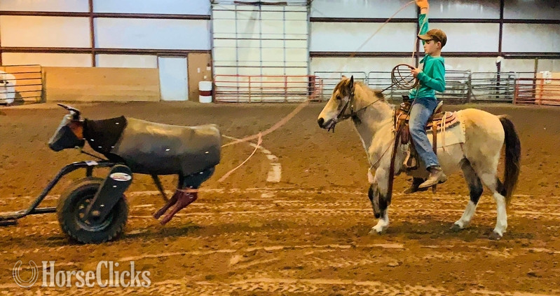 "PeeWee" Tri-Color Gelding Pony in Texas