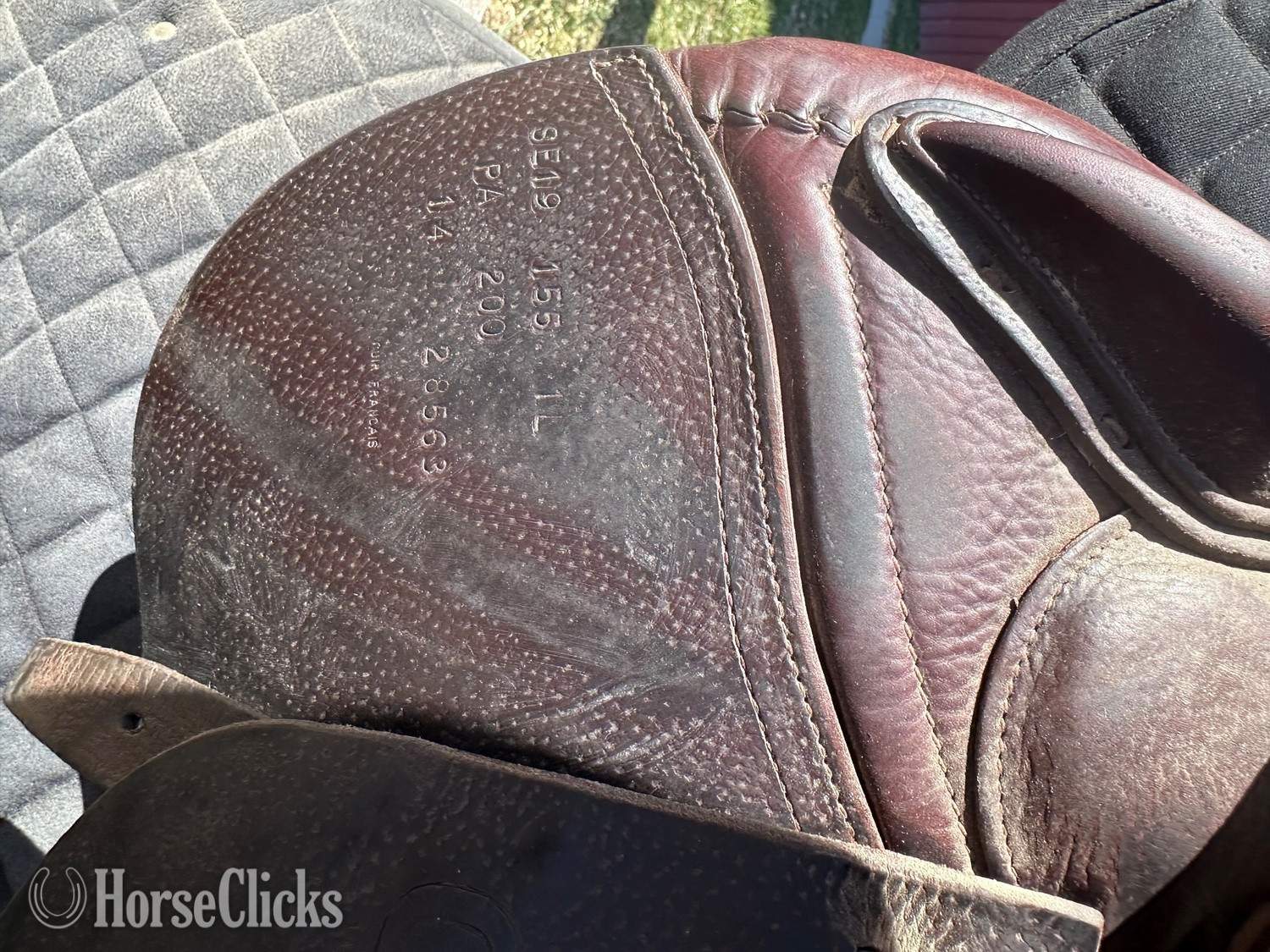 15.5" CWD Sellier English Saddle Michigan