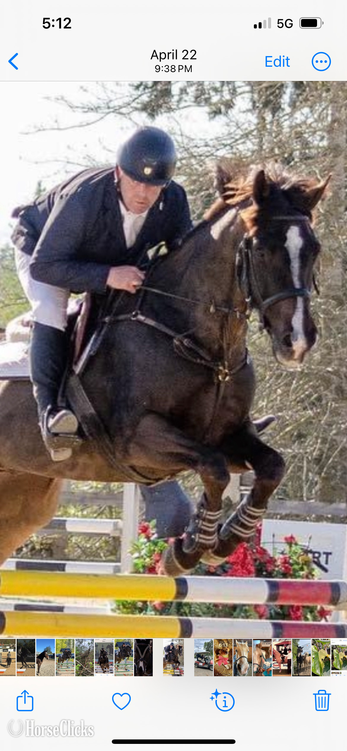 "Gratitude " Black Gelding Warmblood in British Columbia