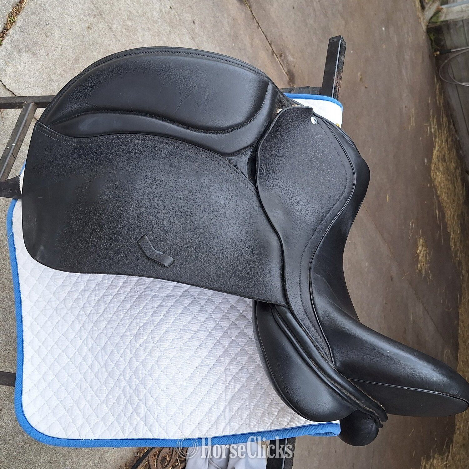 17" Other English Saddle in Florida