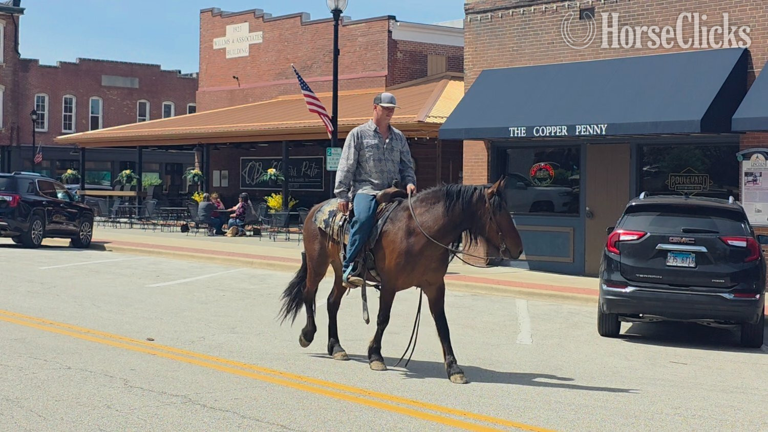 Illinois "Mario" Bay Gelding Mustang