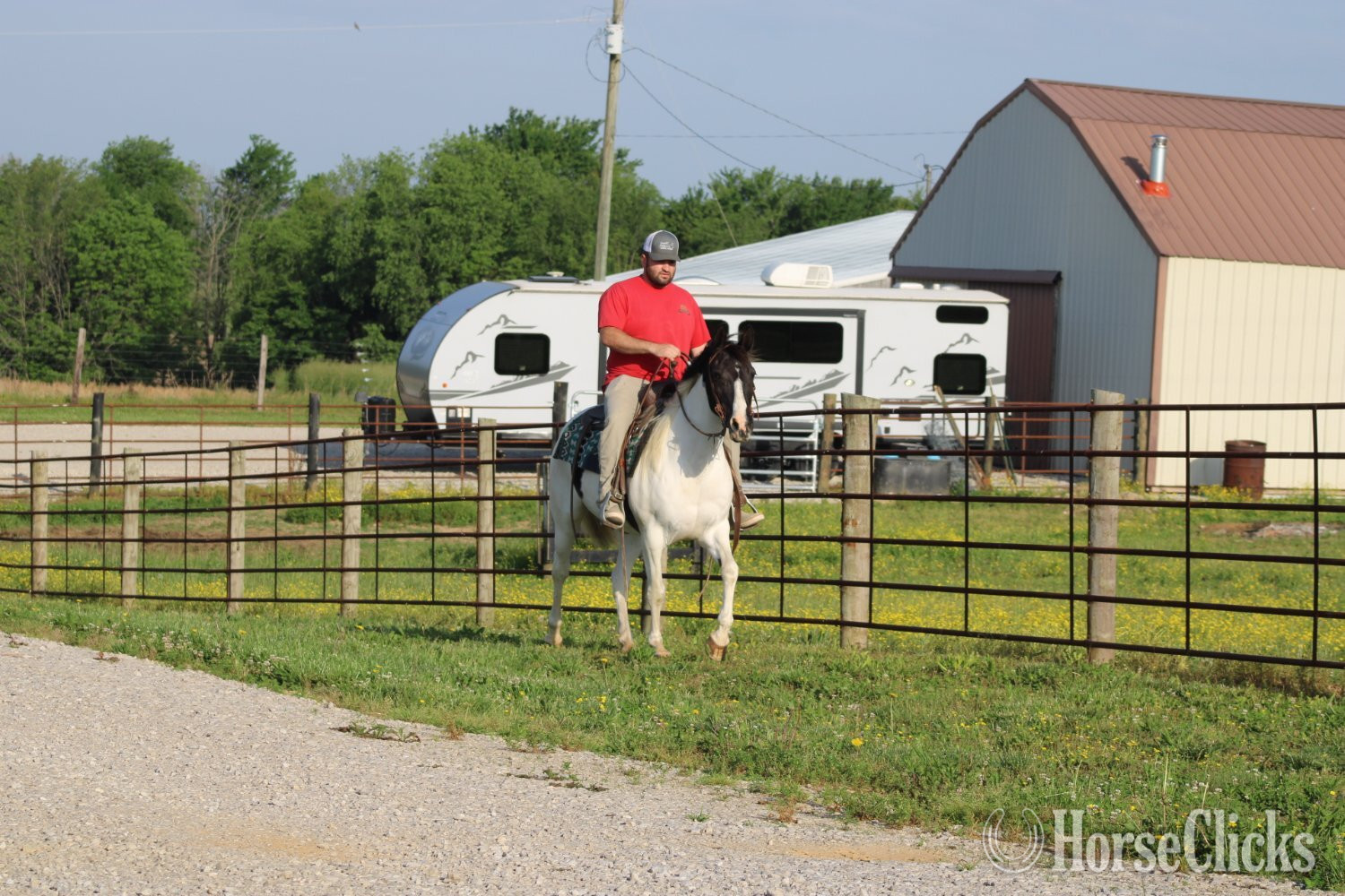  - "Chloe"  Mare in Kentucky