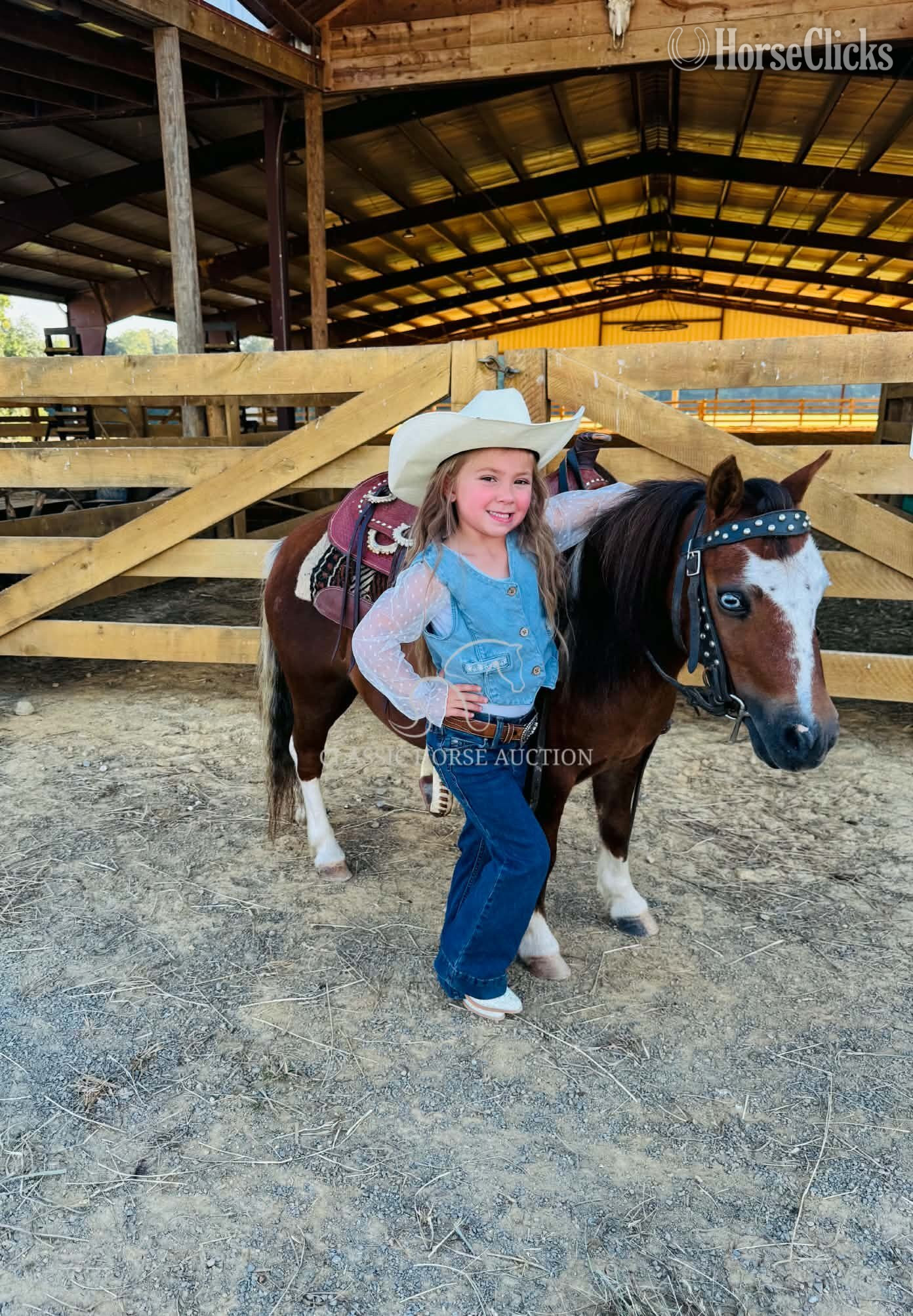 Pony - "LULU" Palomino Mare Pony in Kentucky