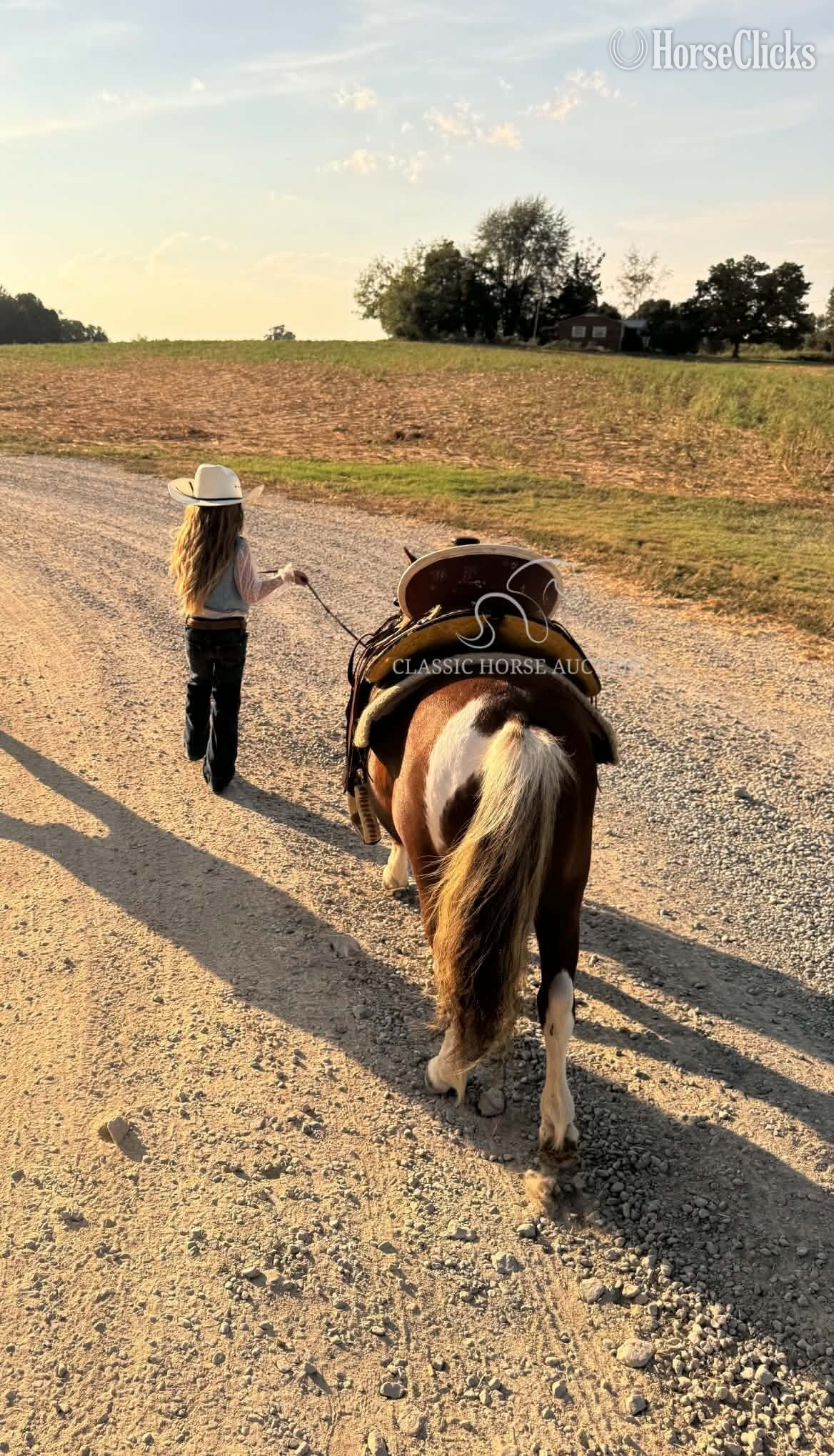 Pony - "LULU" Palomino Mare Pony