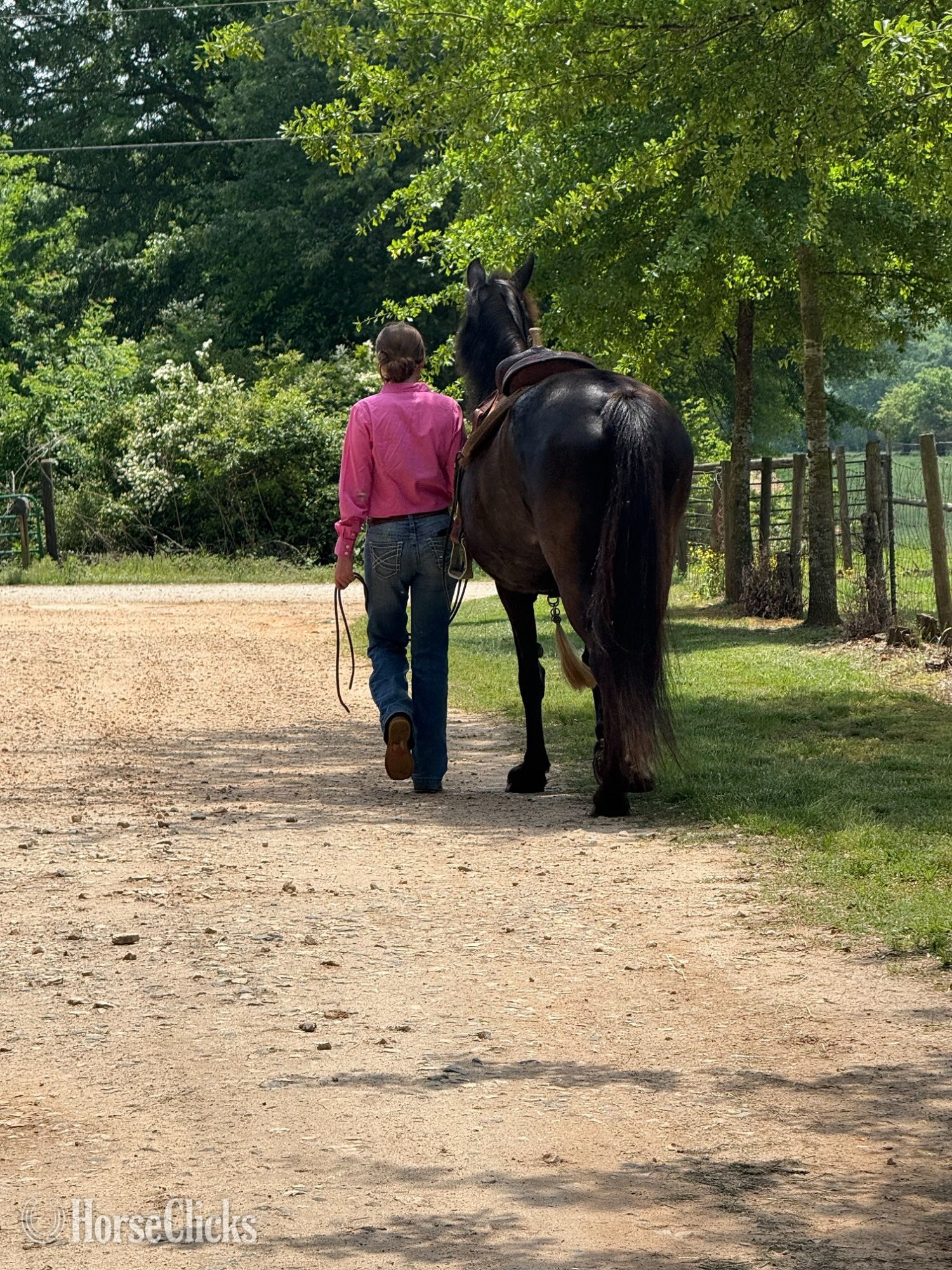 Georgia "Xena" Black Mare Tennessee Walker