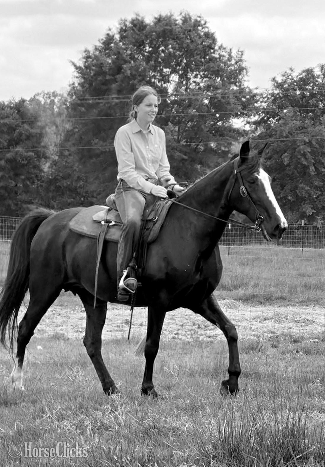 Tennessee Walker - "Xena" Black Mare Tennessee Walker in Georgia