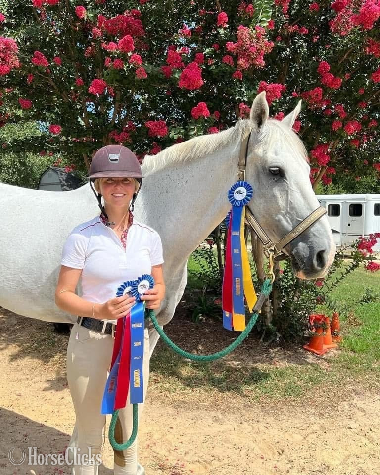 "My Casall " Grey Gelding Holsteiner Florida