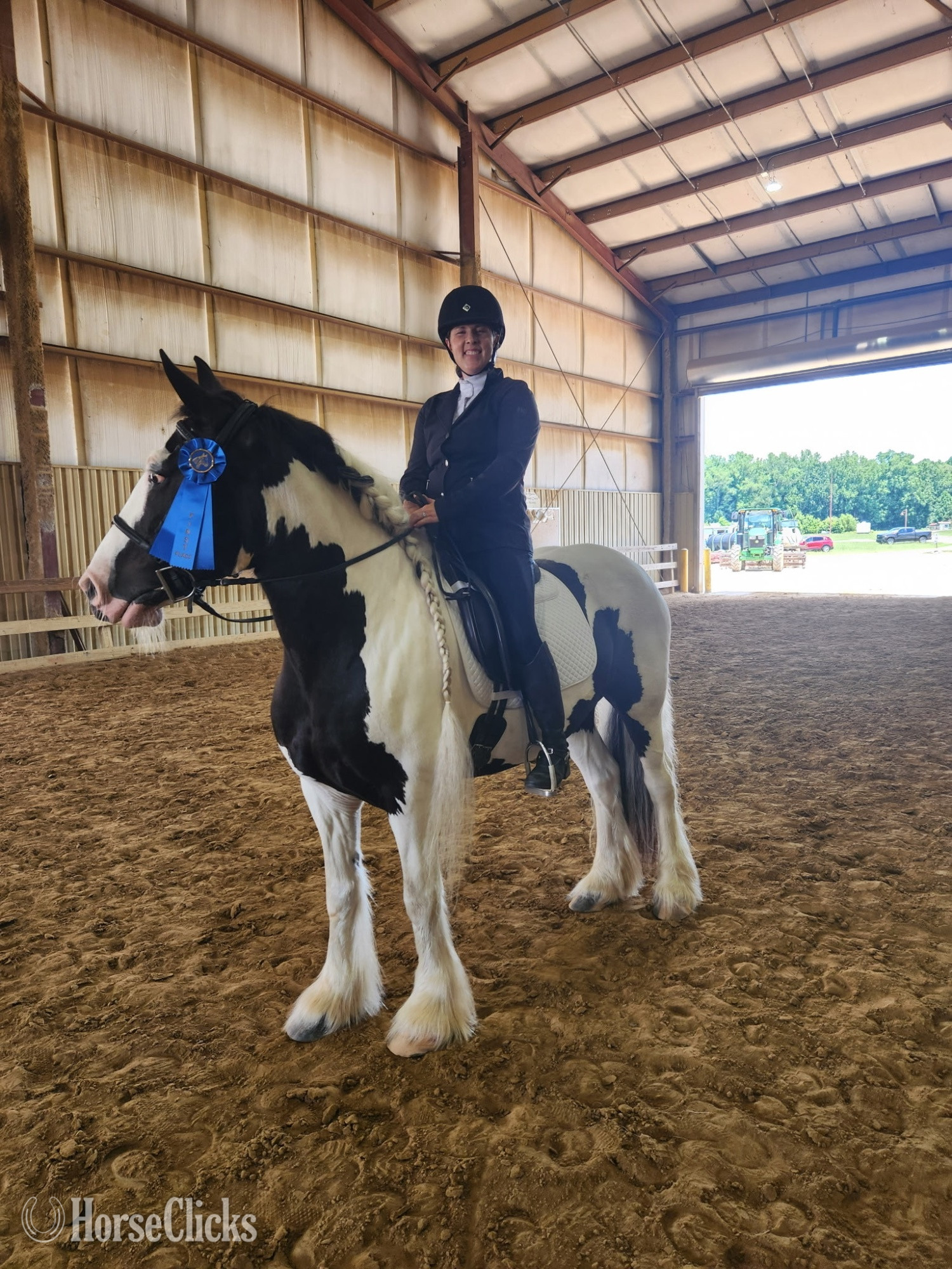 Gypsy Vanner - "Ms Jackie O" Piebald Mare Gypsy Vanner in North Carolina