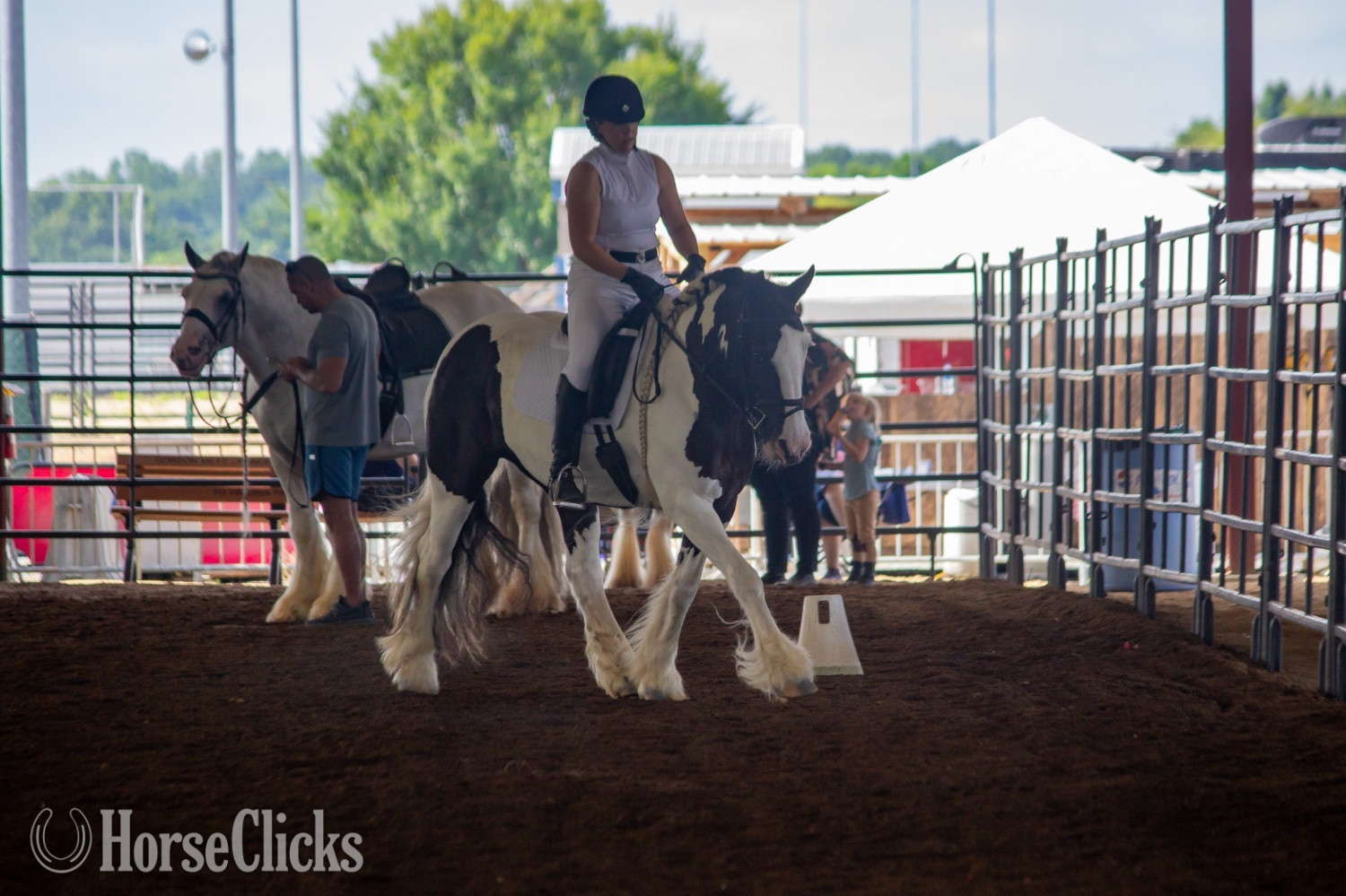 Gypsy Vanner - "Ms Jackie O" Piebald Mare Gypsy Vanner