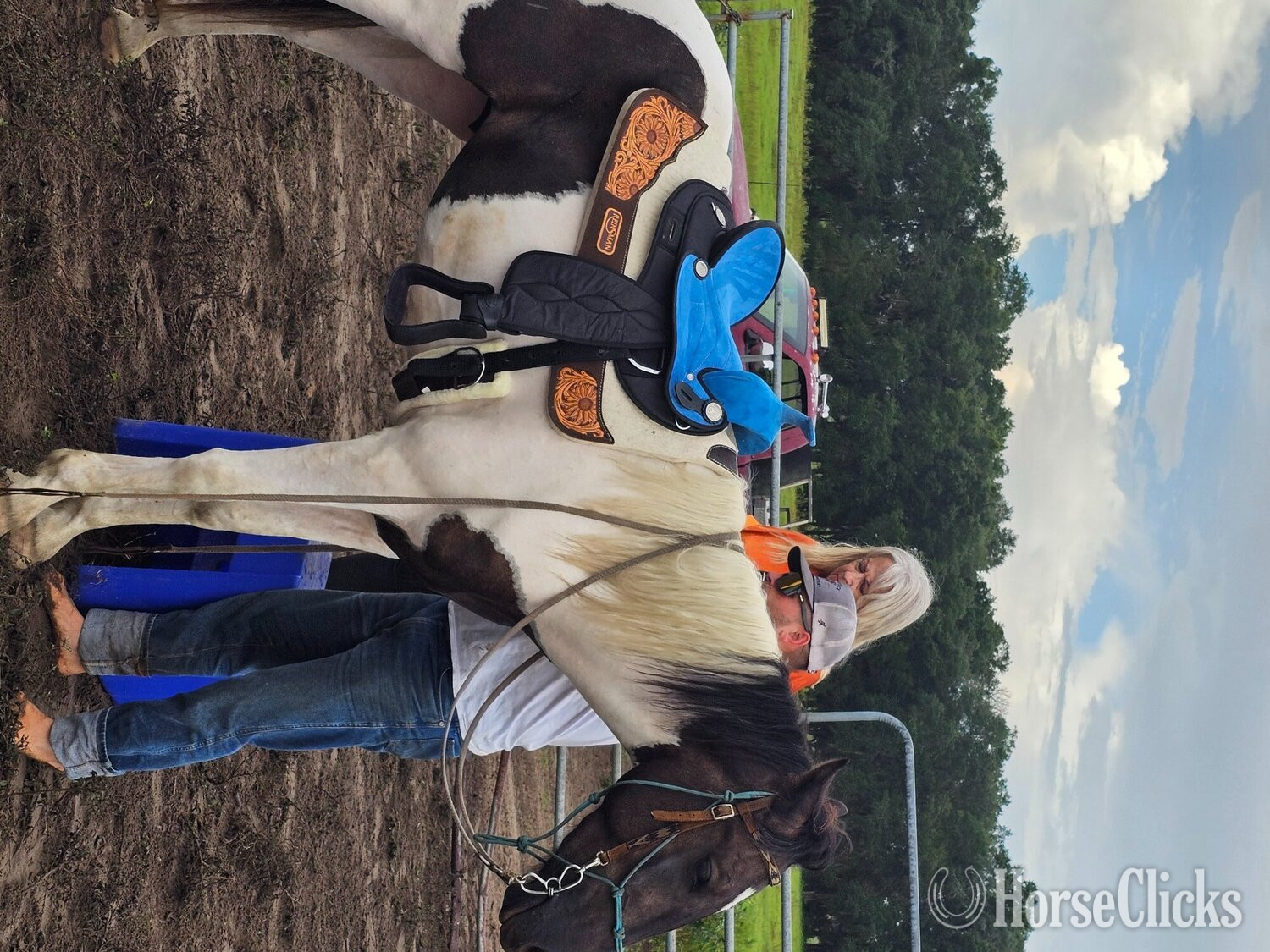 "Oreo" Chocolate Gelding Paint Florida