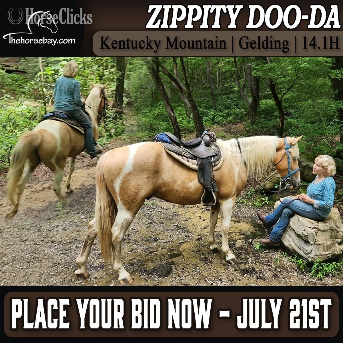 "Zippity Doo Da" Tabiano Gelding Kentucky Mountain in Ohio