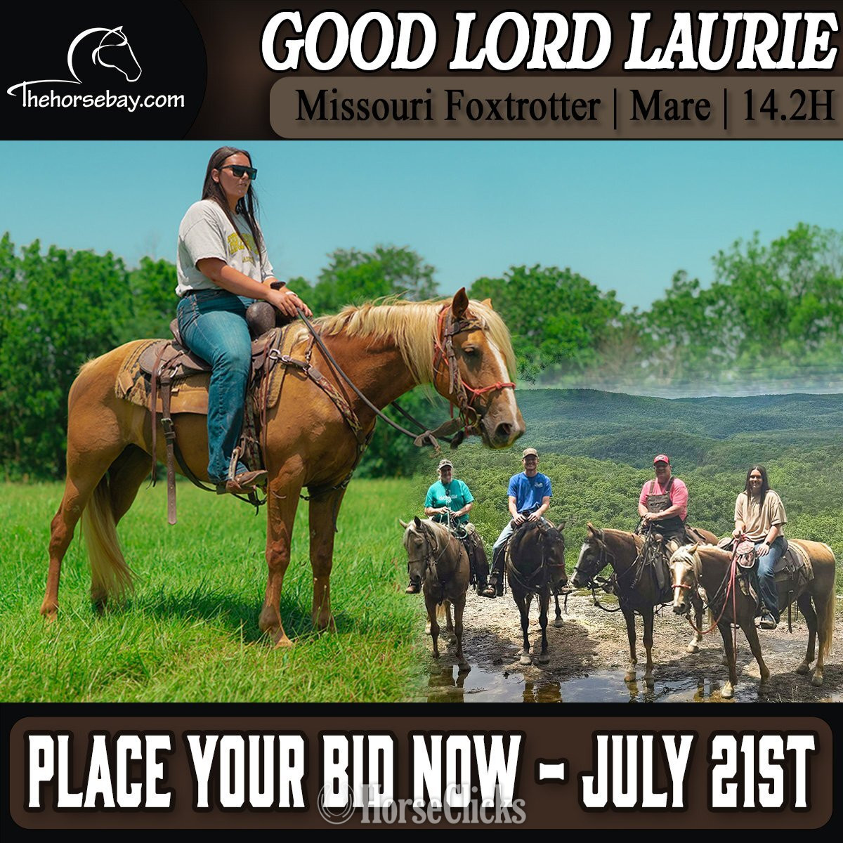 "Laurie" Palomino Mare Missouri Fox Trotter in Missouri
