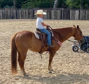 "Speedbump" Sorrel Gelding Quarter Horse