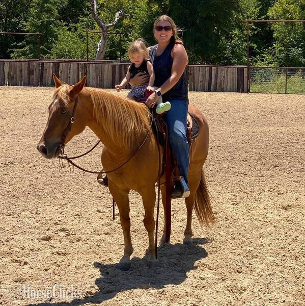 "Speedbump" Sorrel Gelding Quarter Horse - Quarter Horse