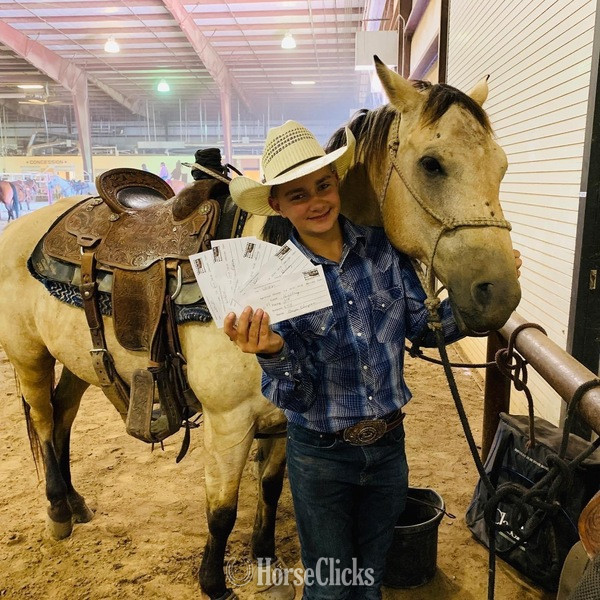 "Cooper" Buckskin Gelding Quarter Horse - Quarter Horse