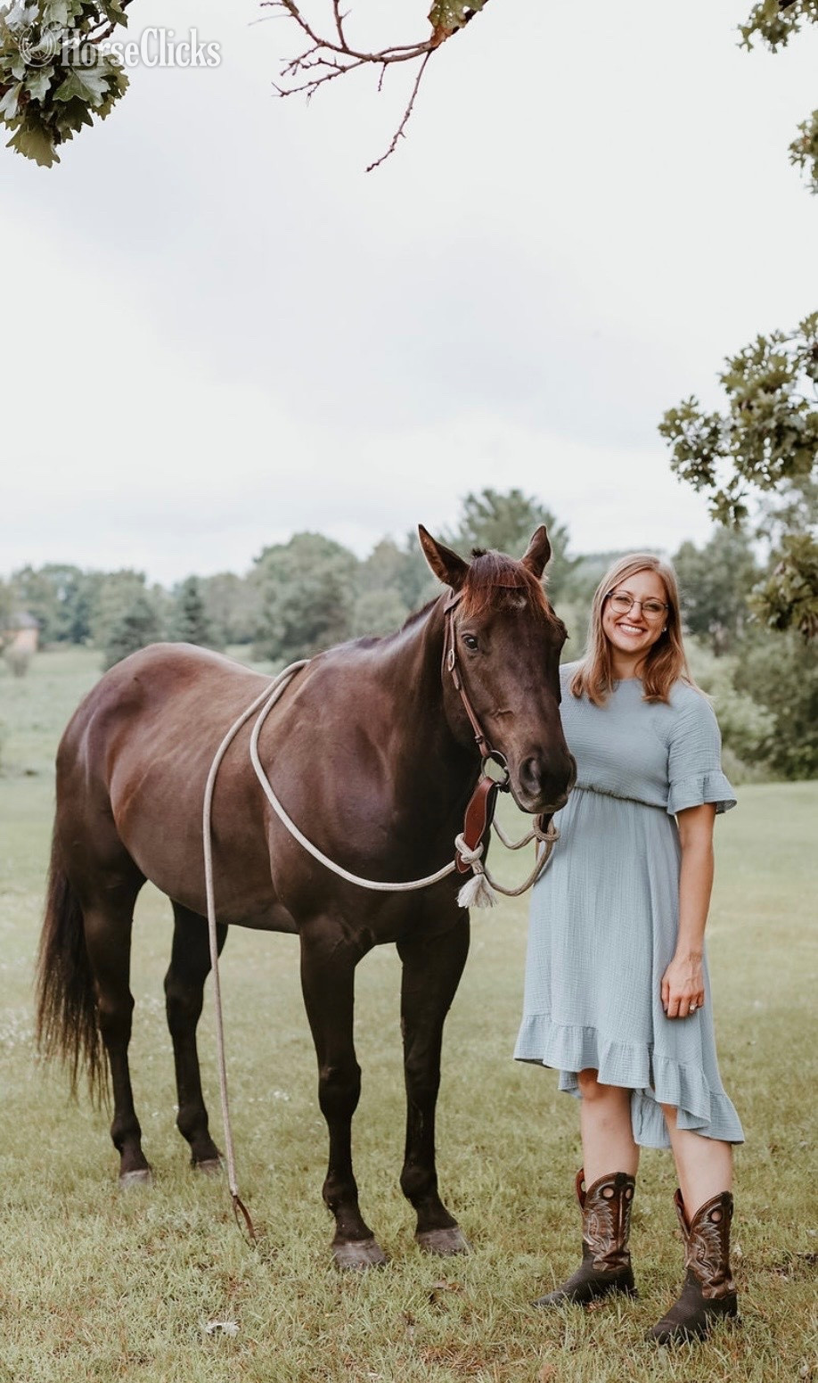 Minnesota "JP Perry Mark" Grullo Gelding Quarter Horse