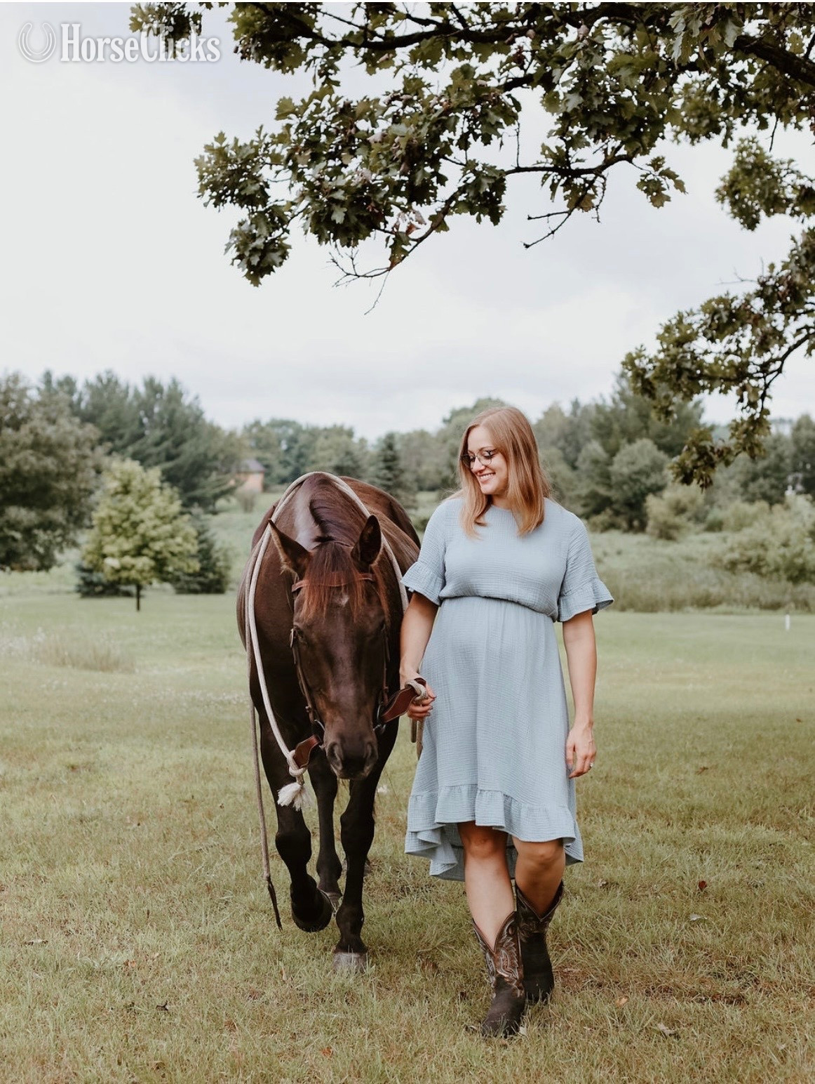 "JP Perry Mark" Grullo Gelding Quarter Horse - Quarter Horse in Minnesota