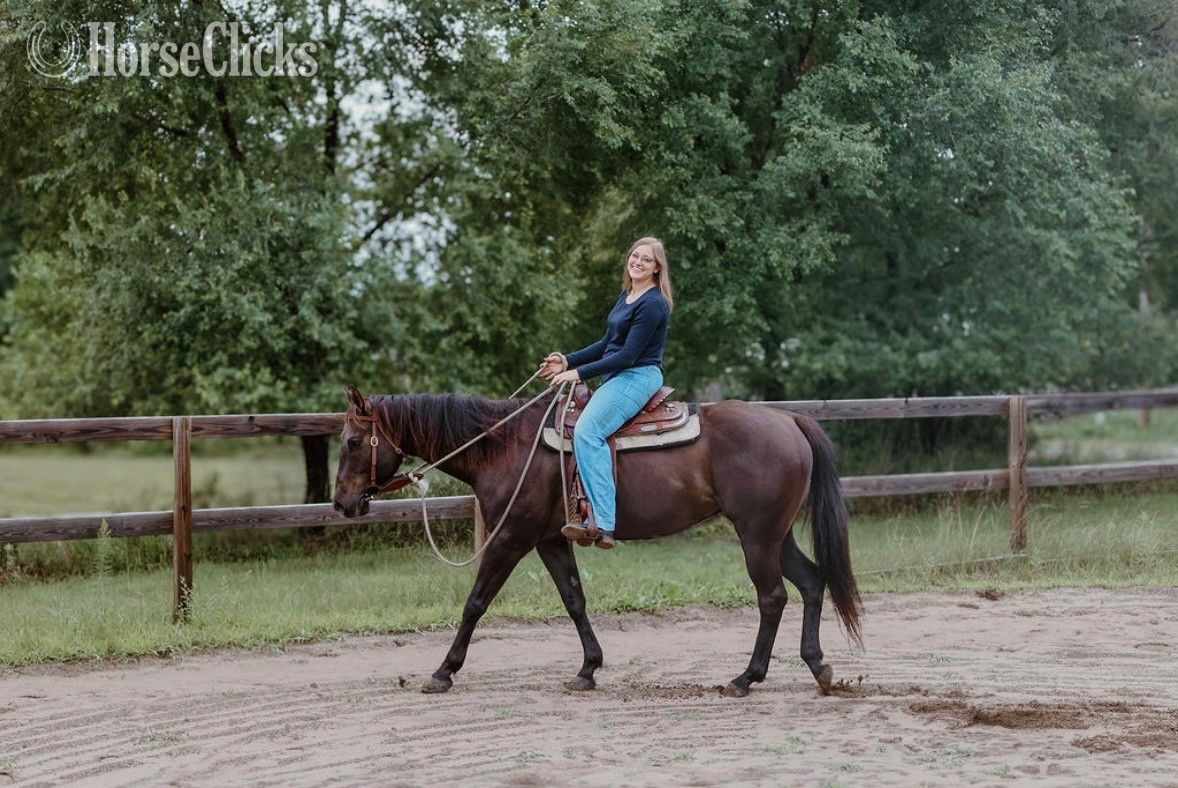 "JP Perry Mark" Grullo Gelding Quarter Horse - Quarter Horse