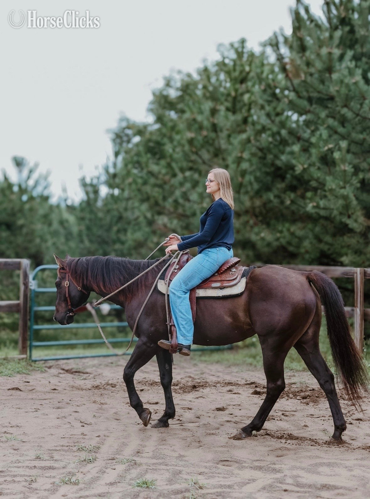 "JP Perry Mark" Grullo Gelding Quarter Horse Minnesota