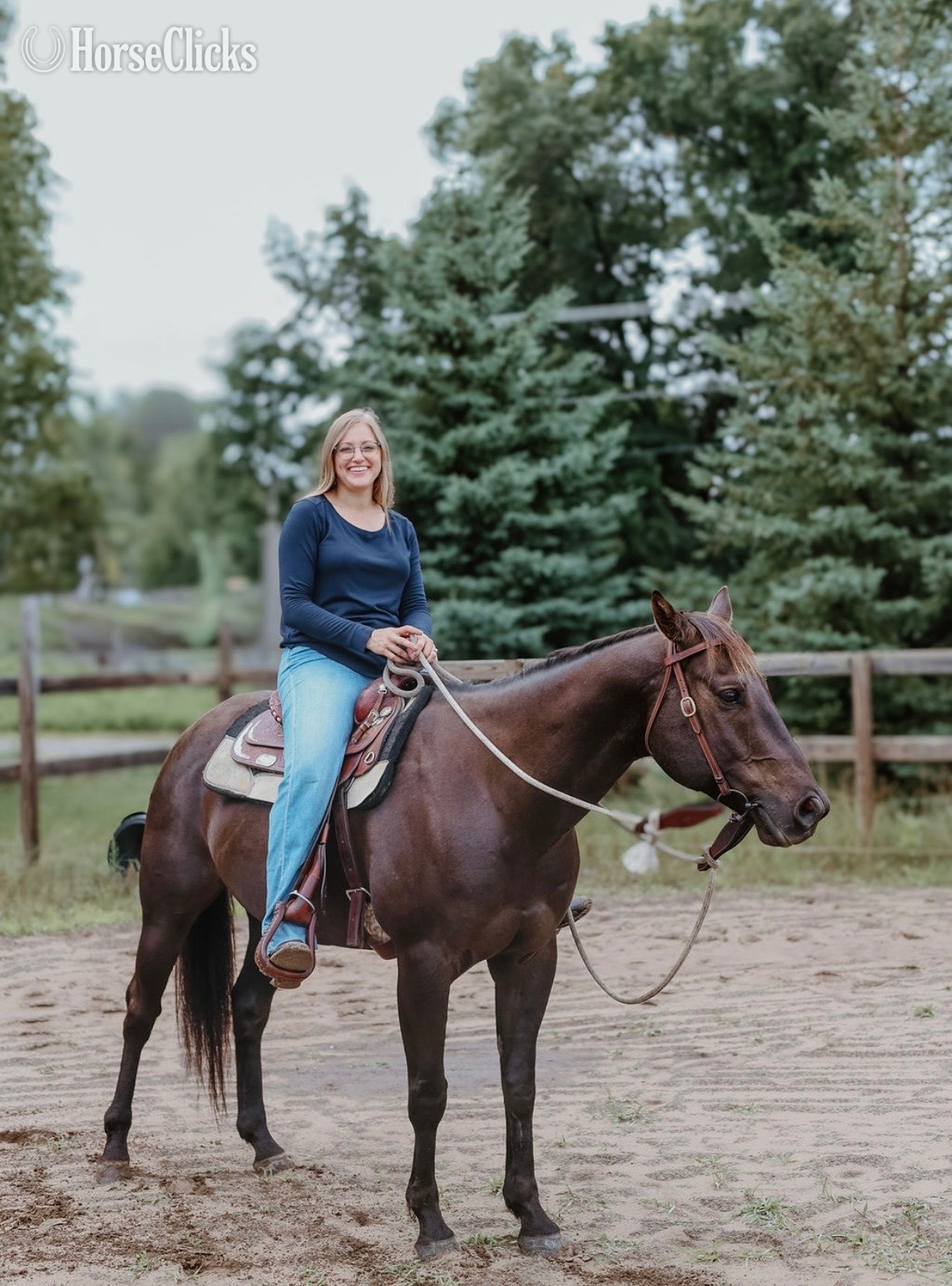 Quarter Horse - "JP Perry Mark" Grullo Gelding Quarter Horse in Minnesota