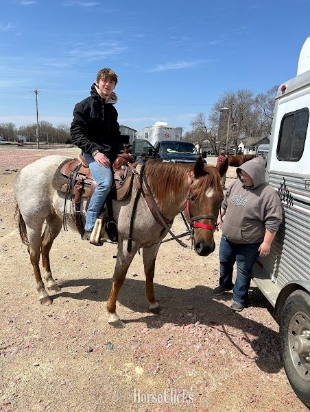 "IMA HOLLYWOOD NUGGET / Dylan " Red Roan Gelding Quarter Horse in Iowa