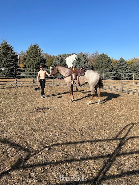 Iowa "IMA HOLLYWOOD NUGGET / Dylan " Red Roan Gelding Quarter Horse