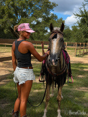 Quarter Horse - "St. Armands" Palomino Gelding Quarter Horse in Florida