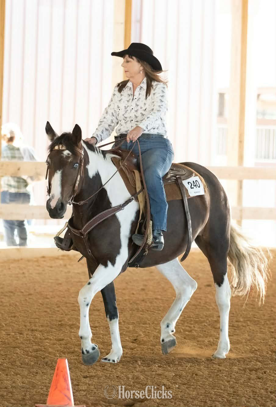"Zura" Tabiano Mare Quarter Horse in Wisconsin