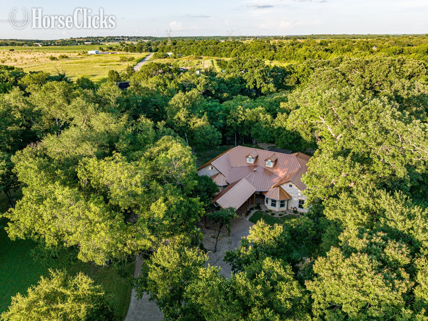 Houses - 1465 Waters Edge Lane, Glen Rose, Texas 76043