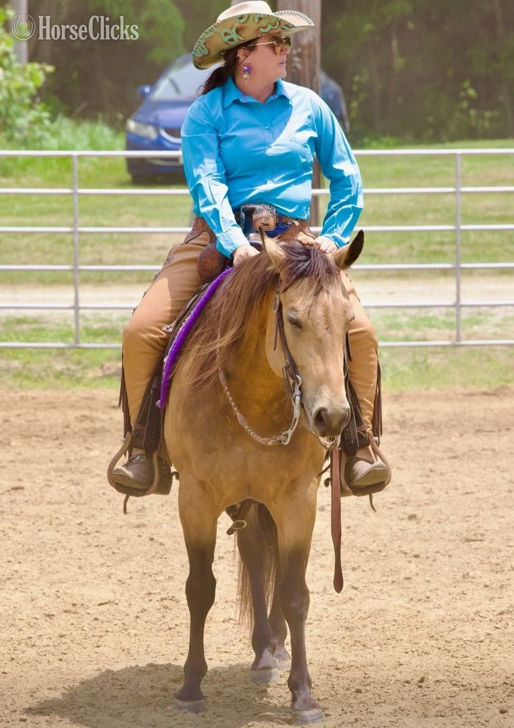 "Whiskey" Buckskin Gelding Quarter Horse