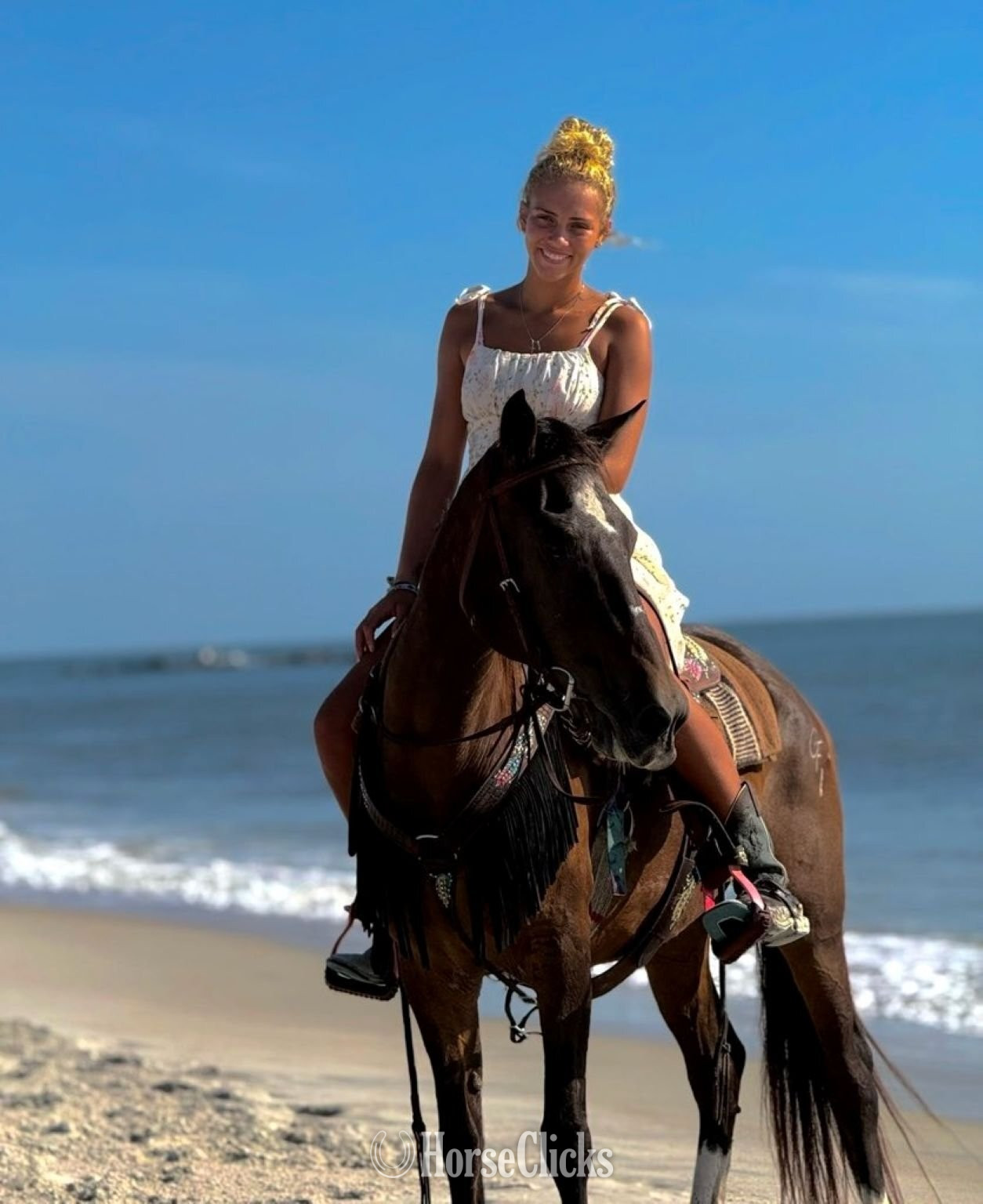 "Anna Maria" Sorrel Mare Morgan - Morgan