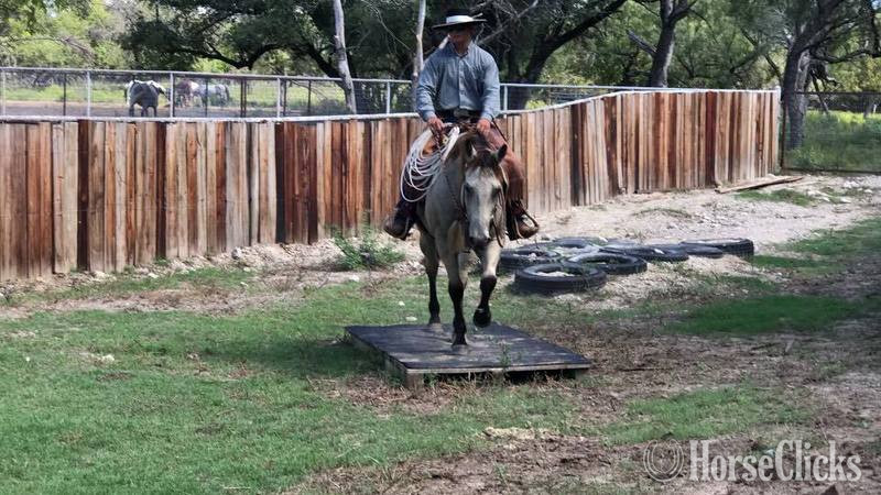 "Blevins " Buckskin Gelding Quarter Horse Texas