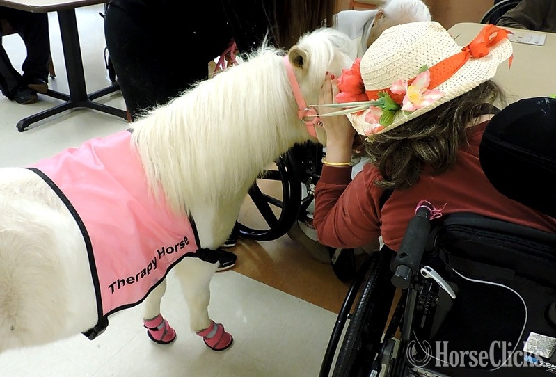 "Therapy Horse Newsletter"  Mare American Miniature Florida