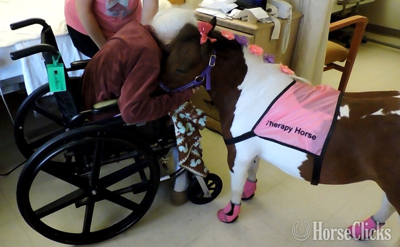 American Miniature - "Therapy Horse Newsletter"  Mare American Miniature in Florida