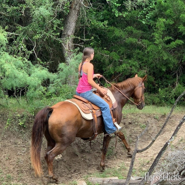 "Kinkade" Sorrel Gelding Quarter Horse Texas