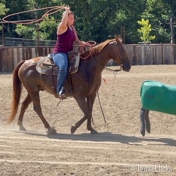 Quarter Horse - "Kinkade" Sorrel Gelding Quarter Horse in Texas