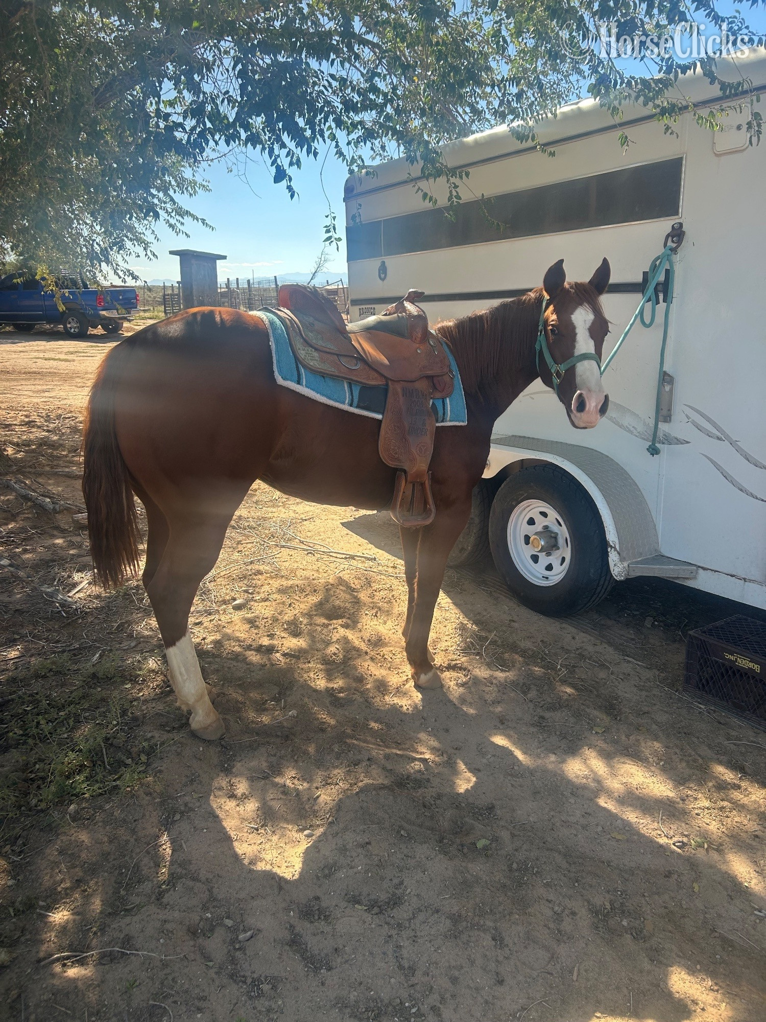 "Twistin Little Kate" Sorrel Filly Quarter Horse in New Mexico