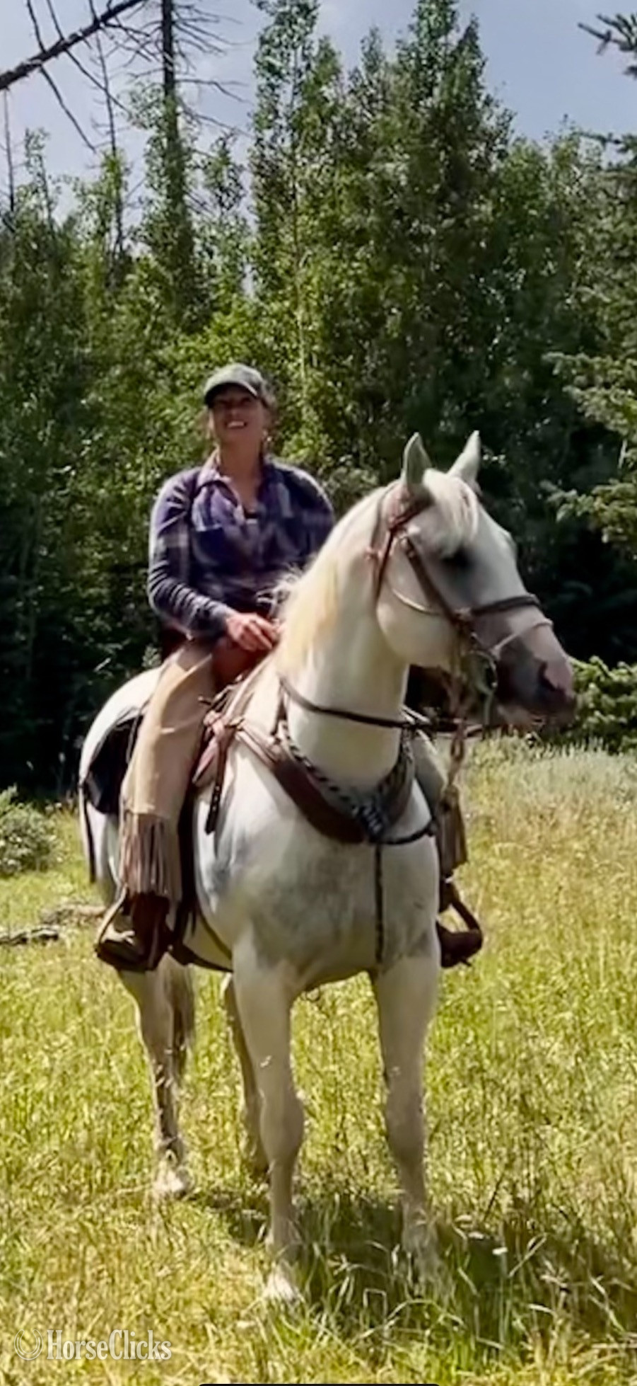 "Maya" Tabiano Mare Appendix in Wyoming