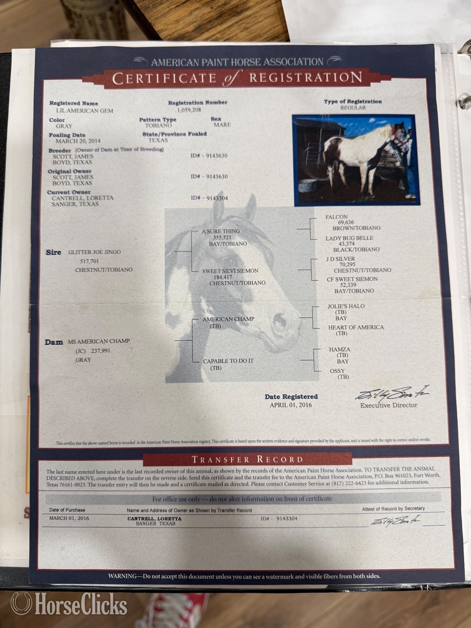 Wyoming "Maya" Tabiano Mare Appendix