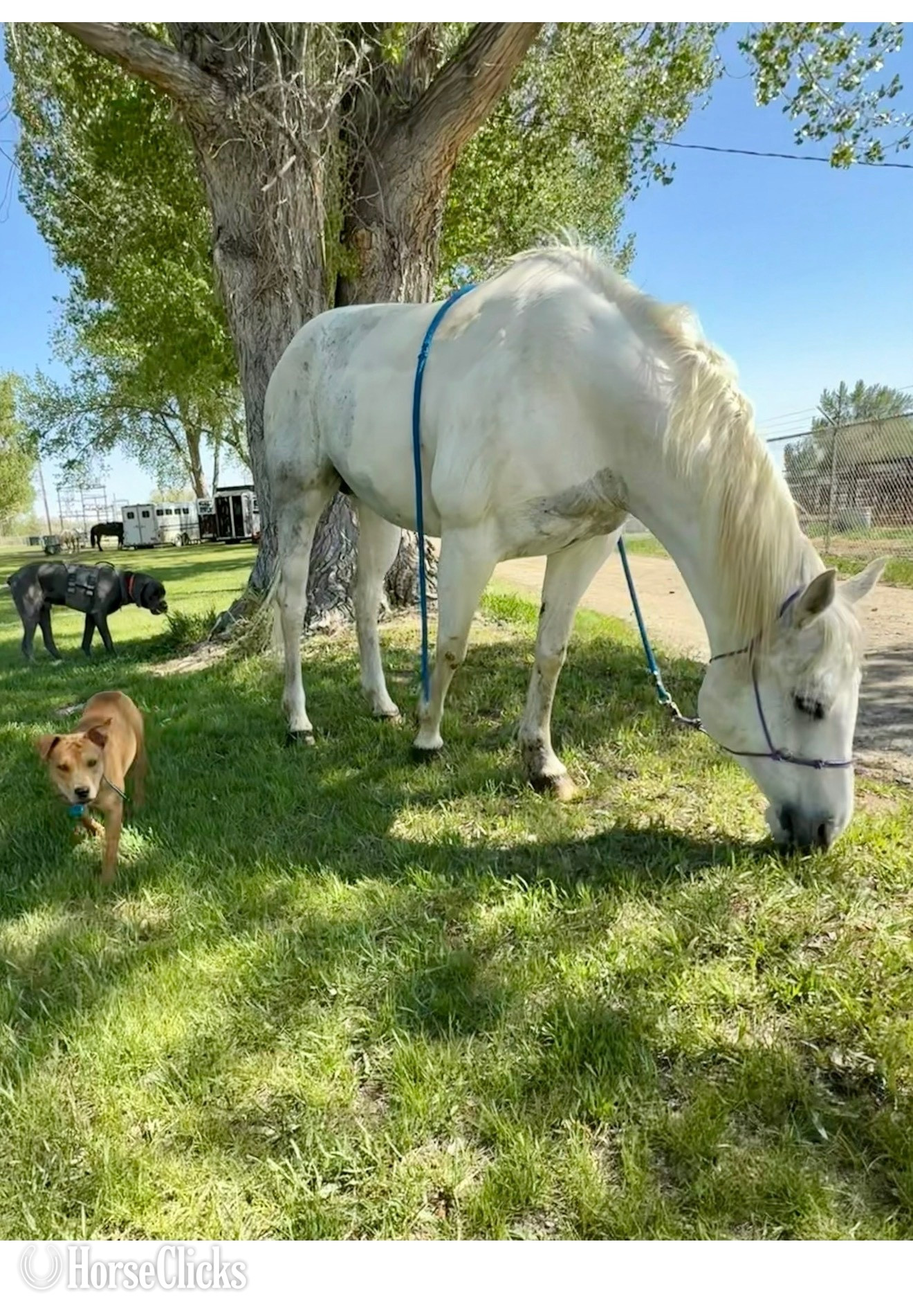 "Maya" Tabiano Mare Appendix - Appendix