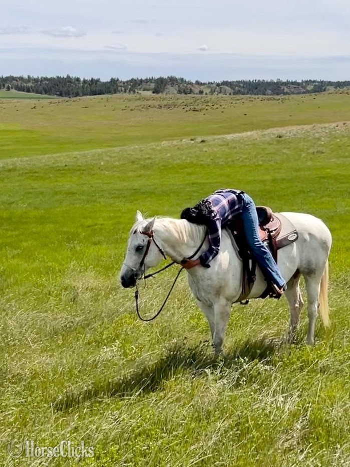 Appendix - "Maya" Tabiano Mare Appendix