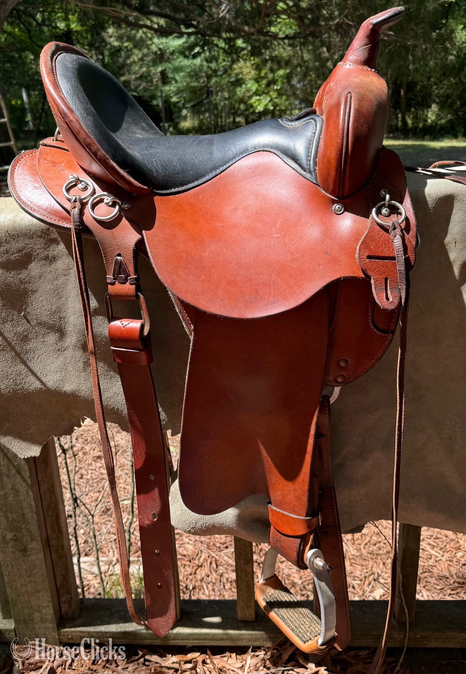 15" Circle Y Western Saddle in North Carolina