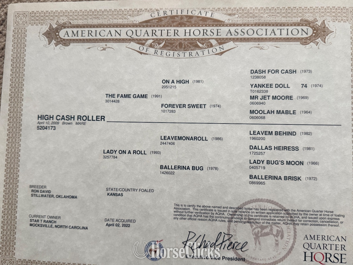 "High cash roller aka (lady Mae)" Brown Mare Quarter Horse