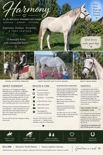 "Harmony" Grey Mare Warmblood