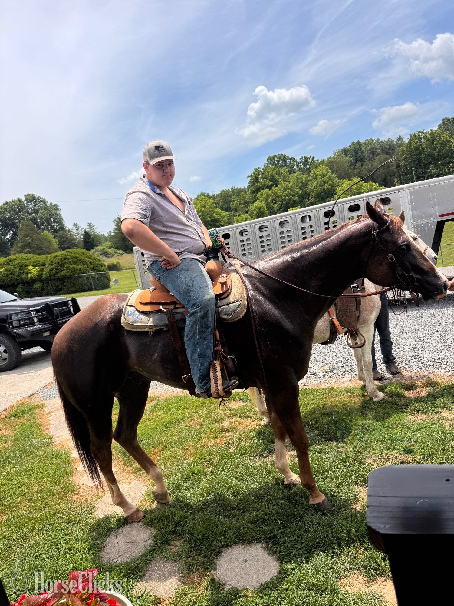 "DUDE" Brown Gelding Quarter Horse